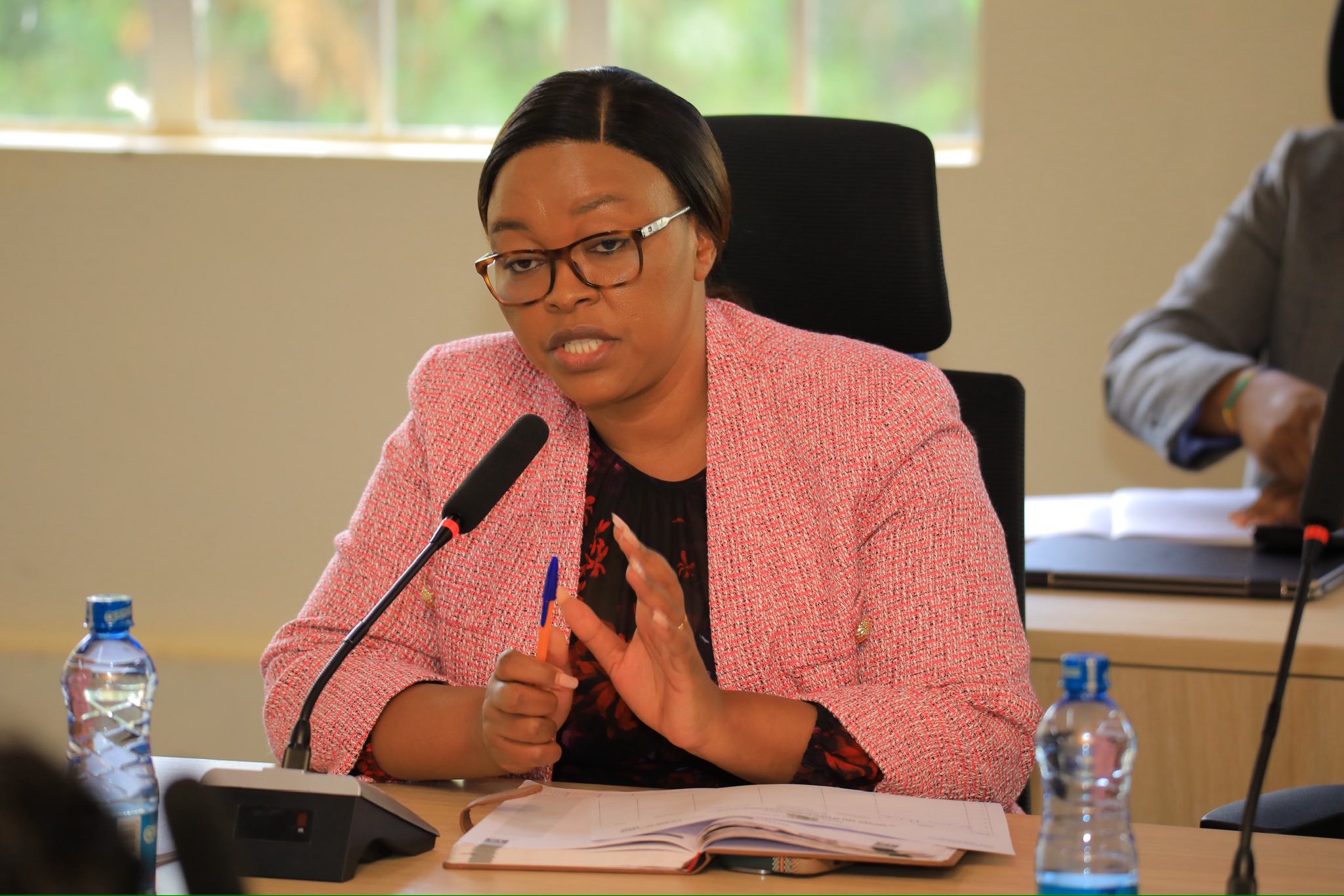 Consultative meeting 